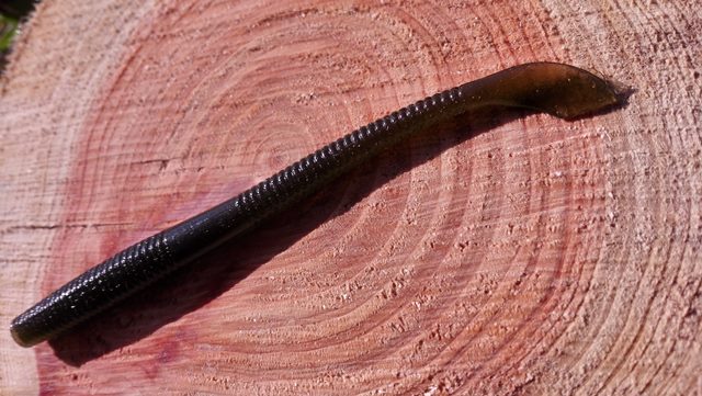 cuttailworm